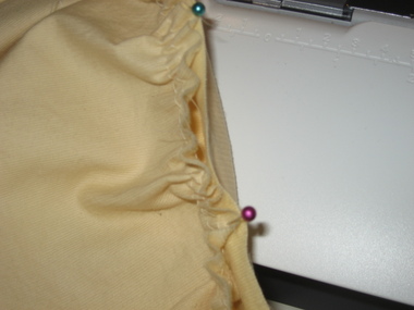 Img_5663 Img_5663